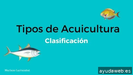 Agromarketing. Consultoria en Agromarketing Digital. Marketing Agropecuario