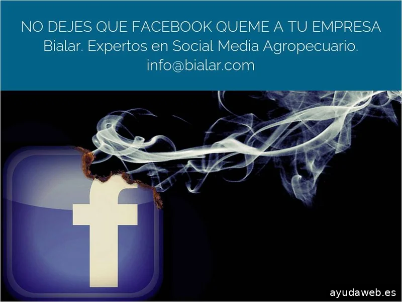 Agromarketing. Consultoria en Agromarketing Digital. Marketing Agropecuario