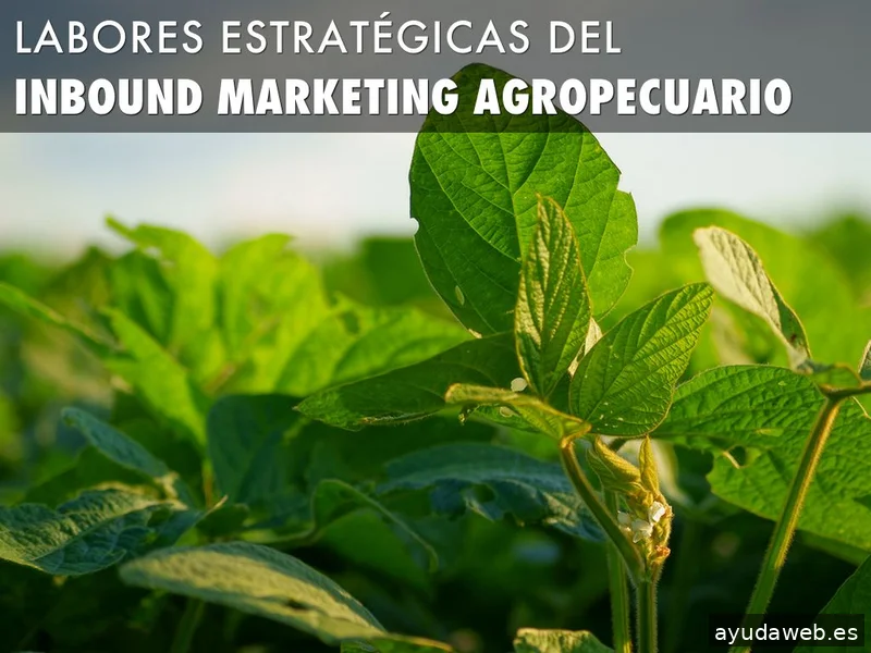 Agromarketing. Consultoria en Agromarketing Digital. Marketing Agropecuario