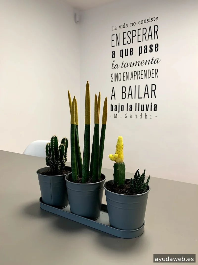 EQUOS, Agencia Digital