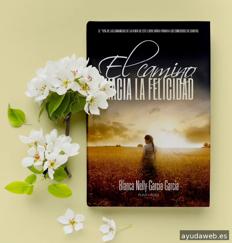 INTI STUDIO EUROPE Branding, Audiovisuales y Marketing Digital en Vitoria Gasteiz