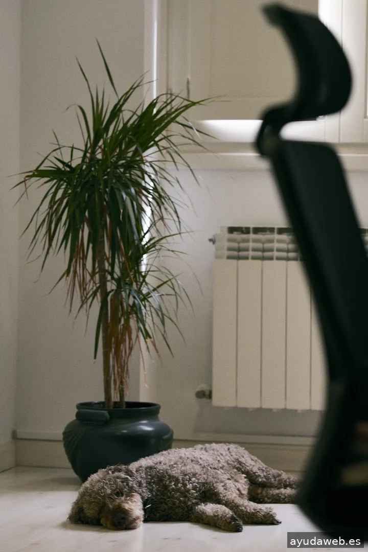 Hortelanos - Agencia de Marketing y Comunicación