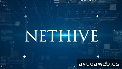 NETHIVE CONSULTING