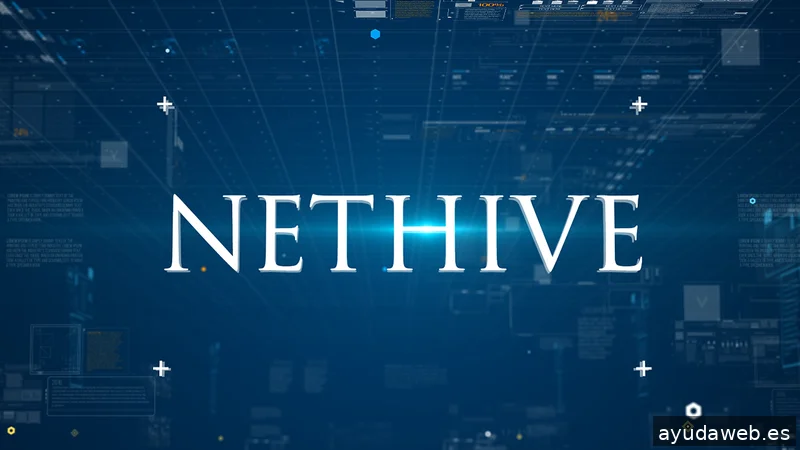 NETHIVE CONSULTING