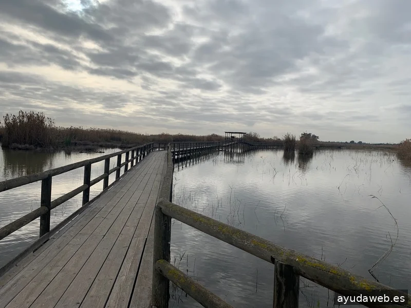 Mediaelx Digital Agency