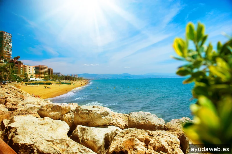 Mediaelx Digital Agency