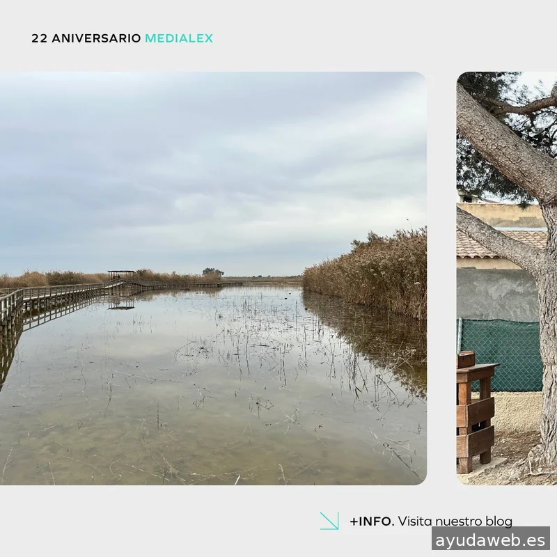 Mediaelx Digital Agency