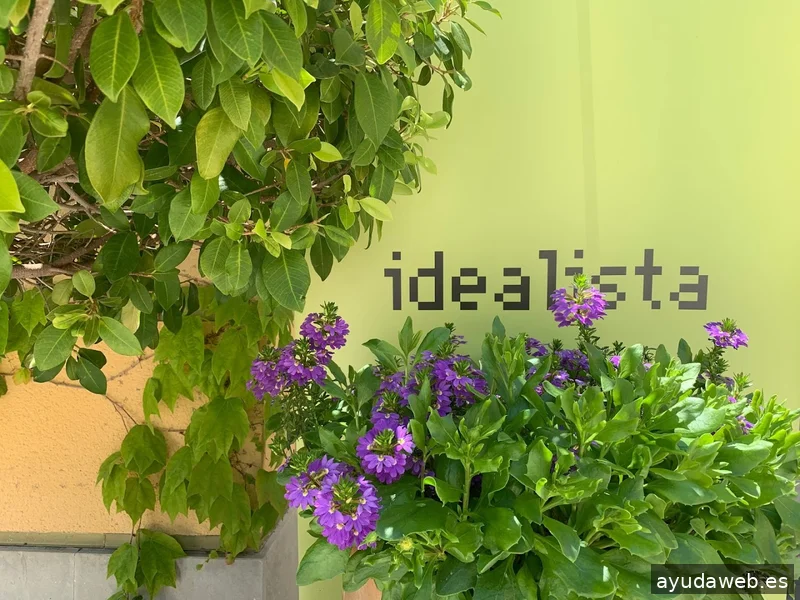 Mediaelx Digital Agency