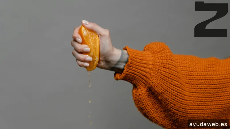 Zoomo. Estudio boutique