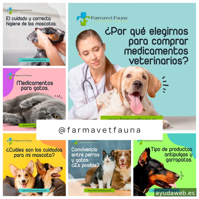 Expertig Marketing Digital