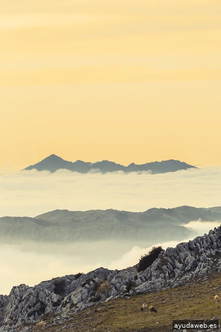 Bocana Estudio Audiovisual