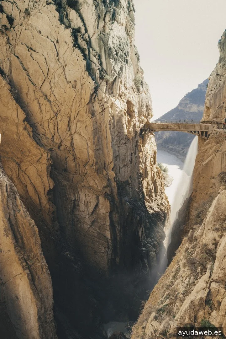 Bocana Estudio Audiovisual