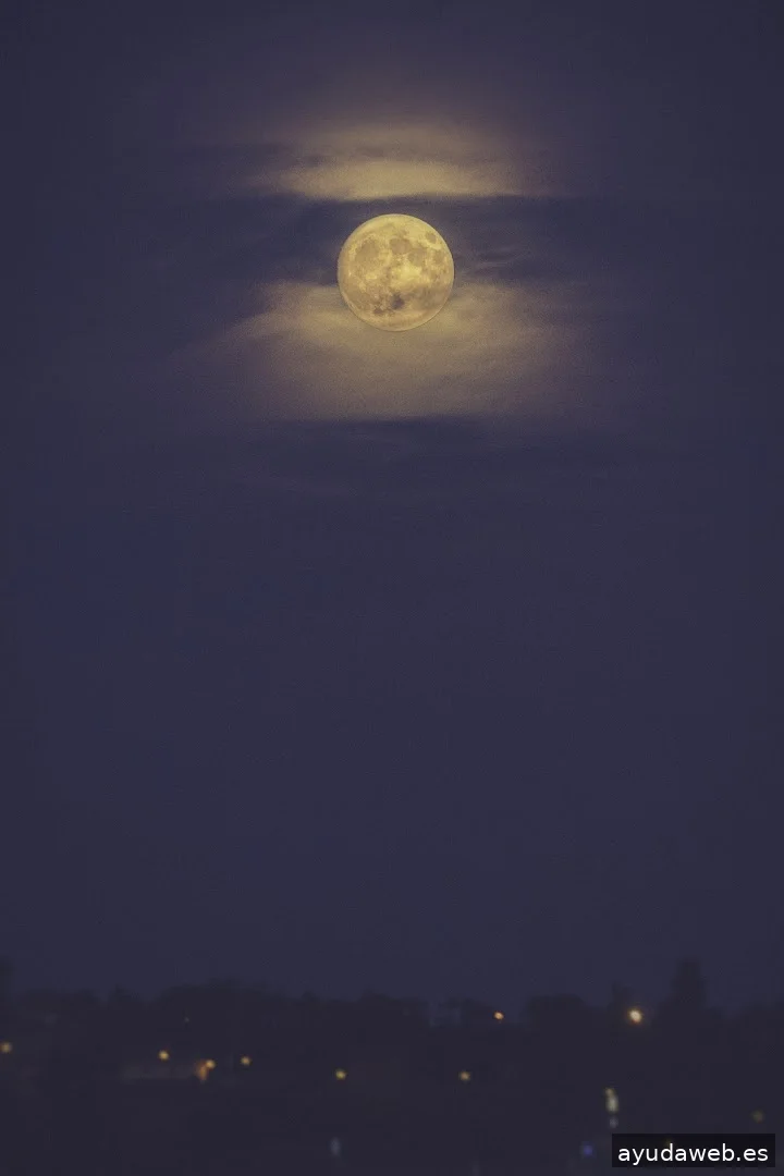 Bocana Estudio Audiovisual