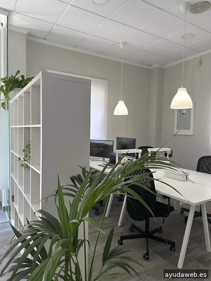 Maria Cogollos | Consultora de Marketing