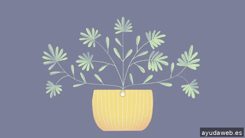 Final Boss Project | Agencia de Marketing