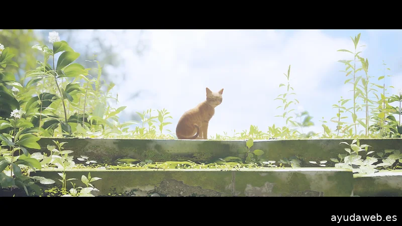 Final Boss Project | Agencia de Marketing