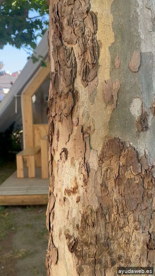 La Huella Comunicación