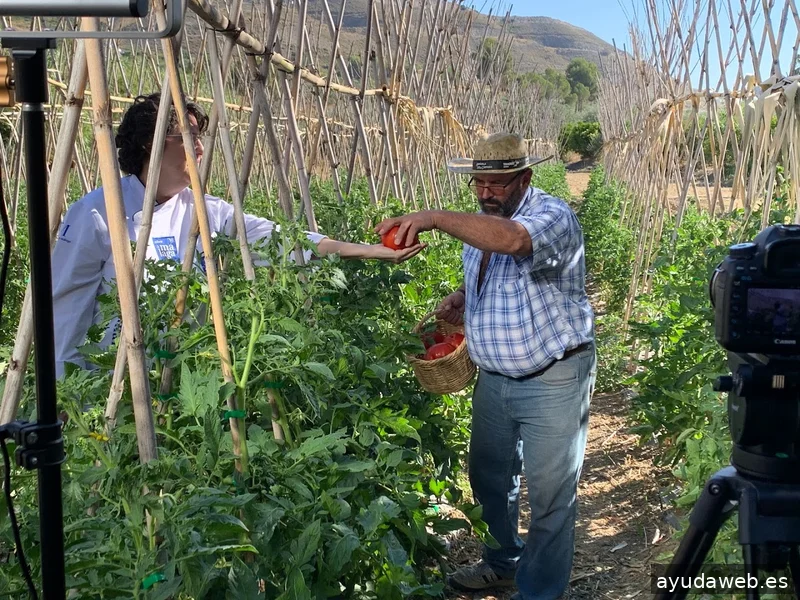 La Huella Comunicación