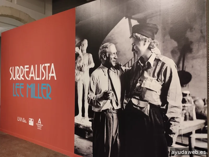 RÓTULOS ALMERÍA | Rotulación, Vinilos, Lonas, Impresión Digital Almería