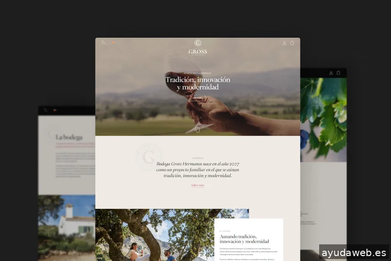 Piensaenweb | Diseño web Zaragoza