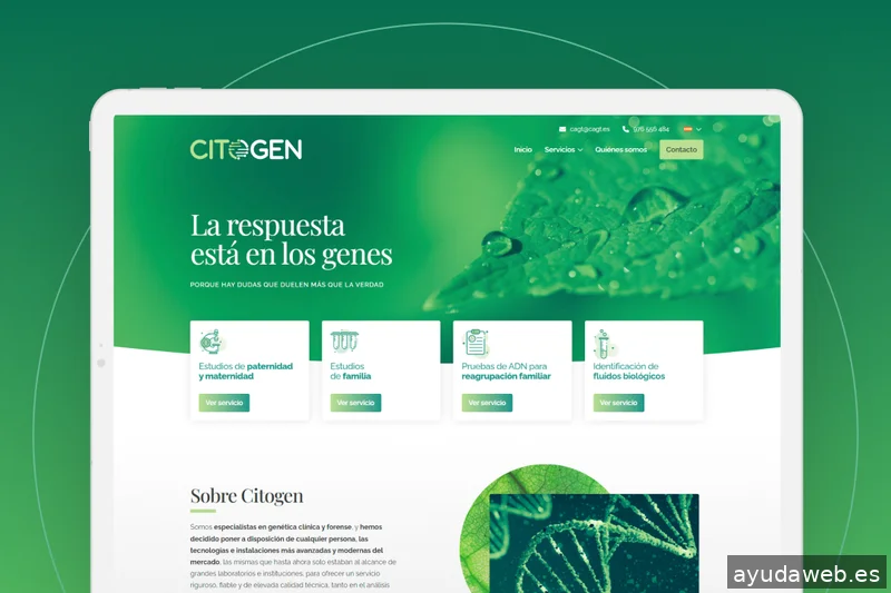 Piensaenweb | Diseño web Zaragoza