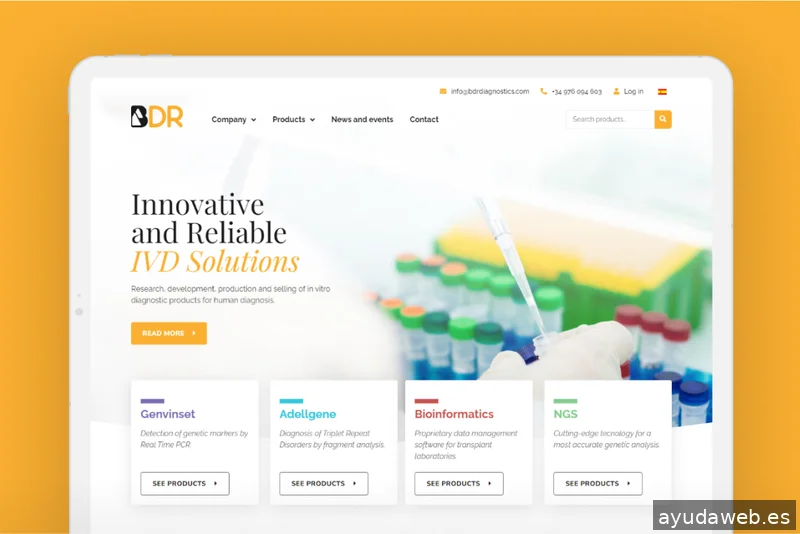 Piensaenweb | Diseño web Zaragoza