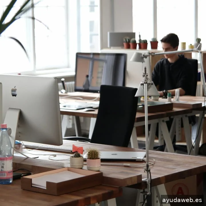 CSEOs Agency | Marketing Digital