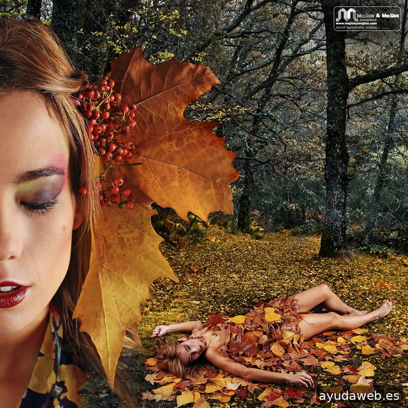 Mejías & Mejías Company