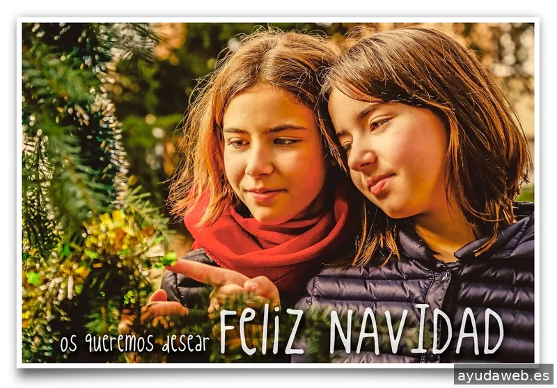 Mejías & Mejías Company