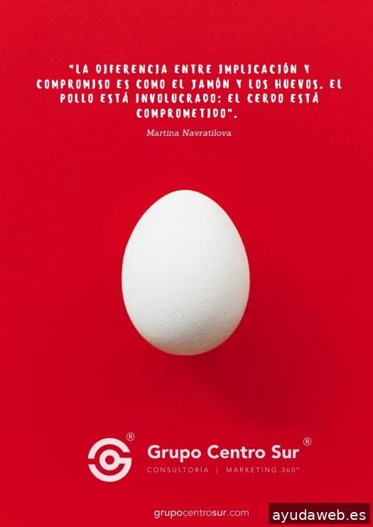 Grupo Centro Sur | Agencia de Marketing 360º
