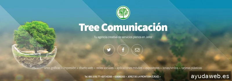 Tree Comunicación 360