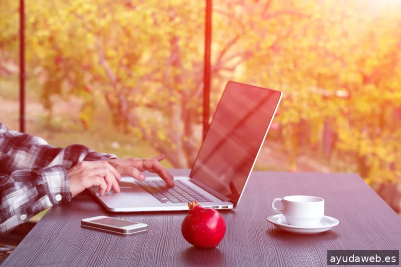 TamerCrea Agencia Multimedia y SEO