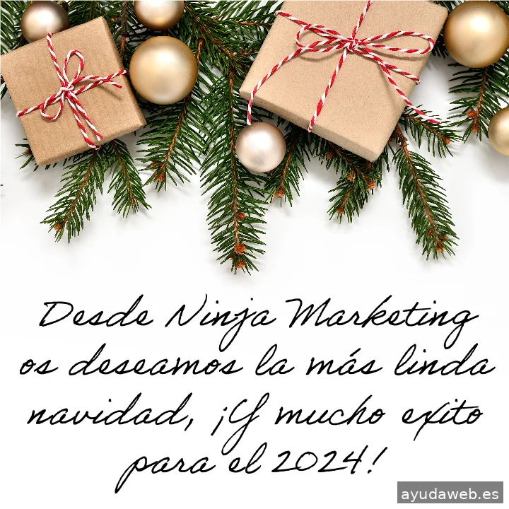 Ninja Marketing Digital