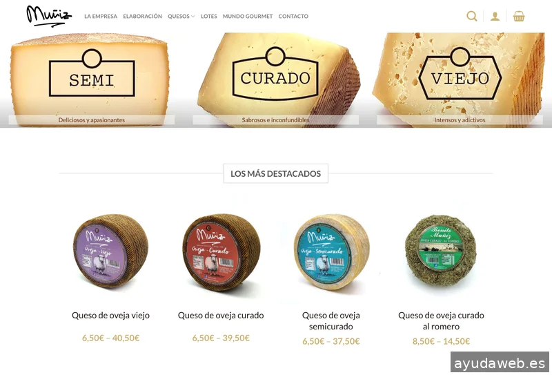 Webs de Empresas - Diseño Web Valladolid