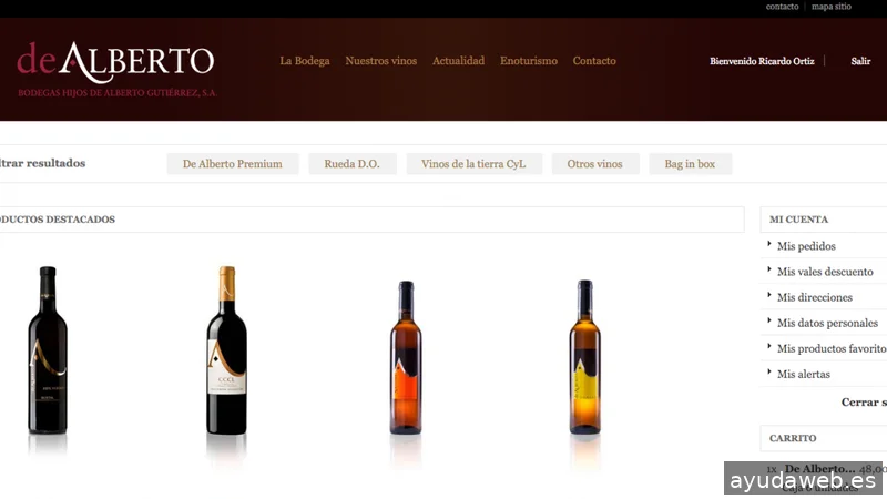 Webs de Empresas - Diseño Web Valladolid