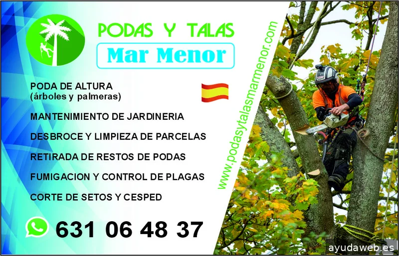 Por Siempre Jovenes Imprenta