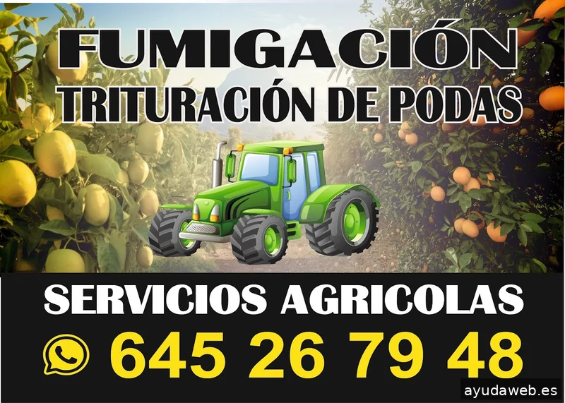 Por Siempre Jovenes Imprenta