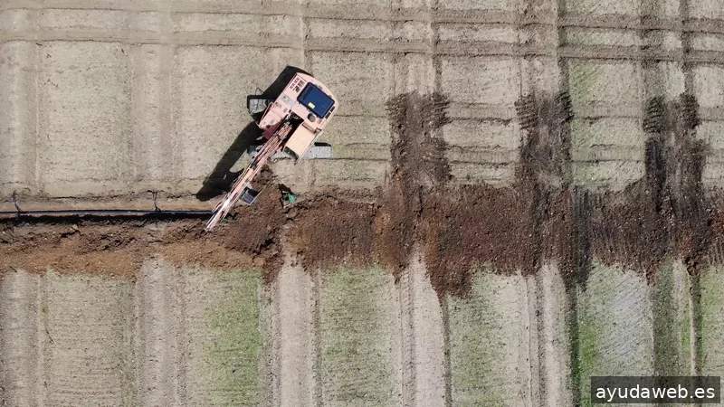 Dani Banda Redes Sociales, Community Manager y Vídeos en Don Benito