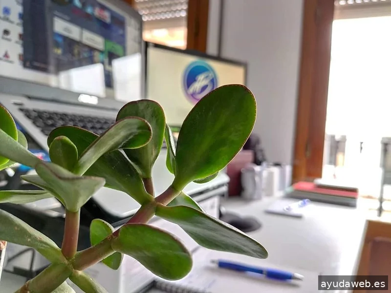 Dani Banda Redes Sociales, Community Manager y Vídeos en Don Benito