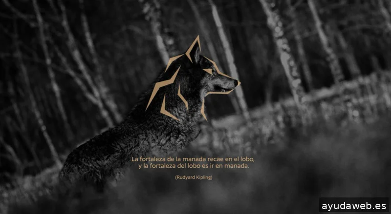 GIA CREATIVA Marketing Agency