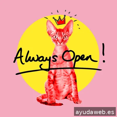Diseñador web freelance Barcelona