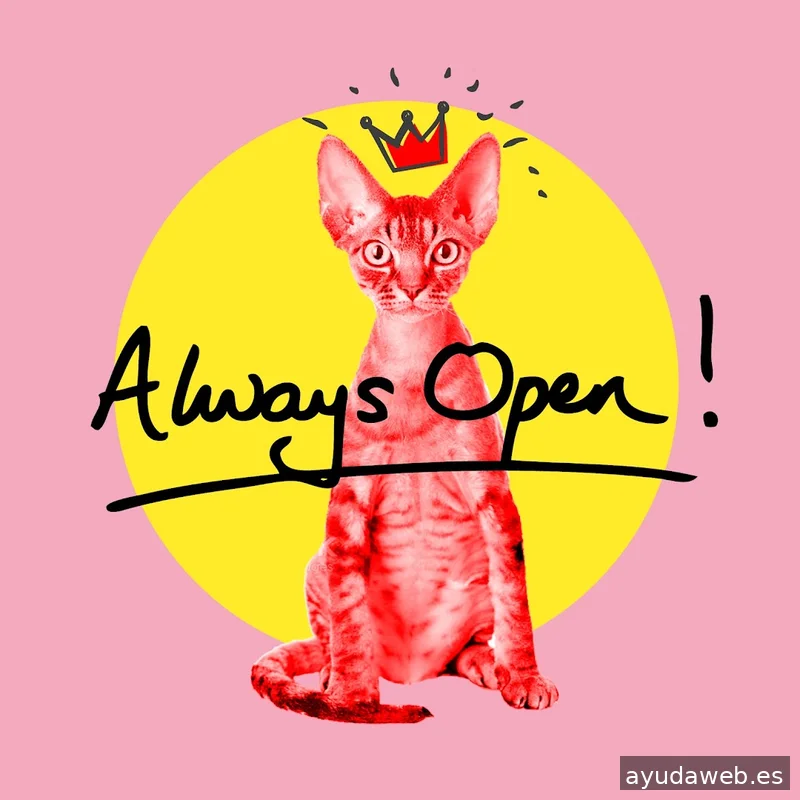 Diseñador web freelance Barcelona