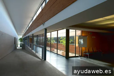 Digital Tree Marketing