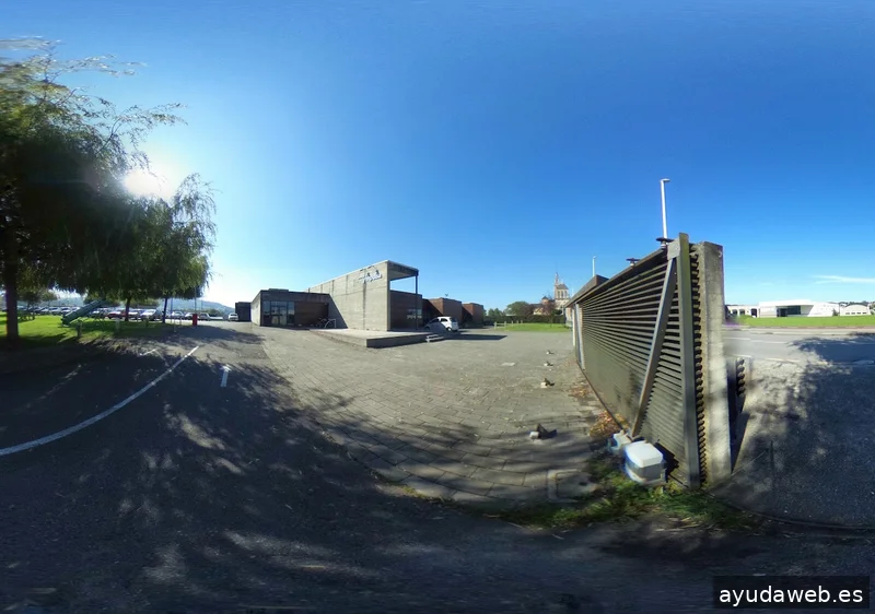 Digital Tree Marketing