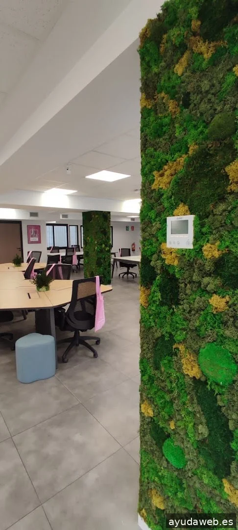 New Line | Promotion & Events