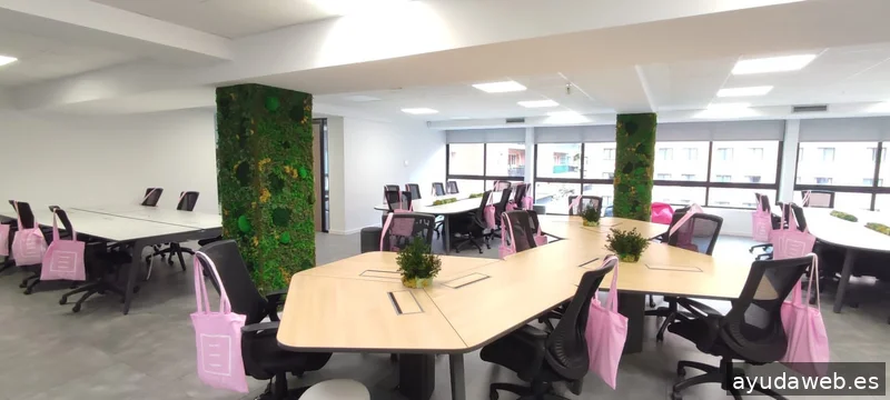 New Line | Promotion & Events