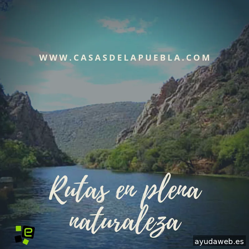 Enova ⭐ (Soporte y Servicios Informáticos)