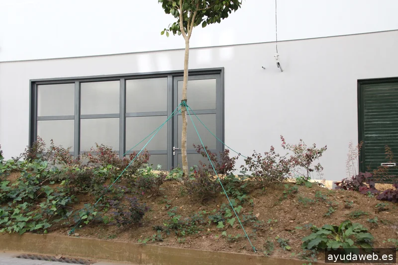 Piedrapapeltijera estudio de diseño