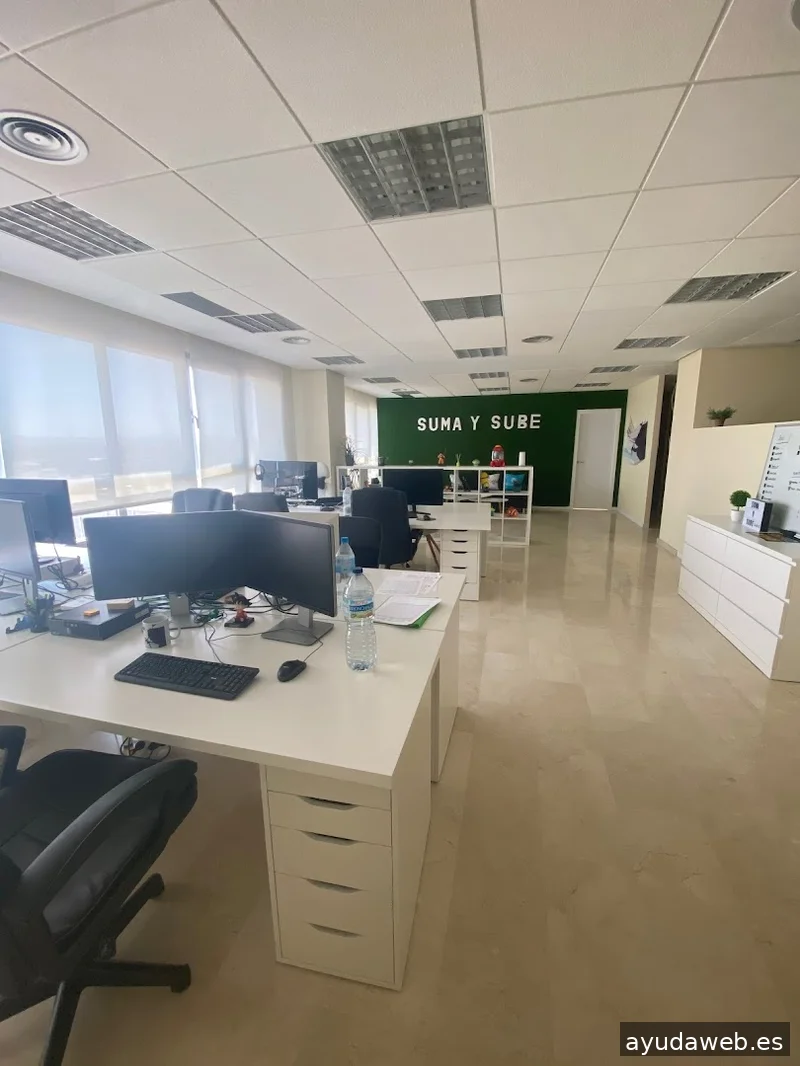 David Calabuig - Consultor E-commerce & SEO en Valencia