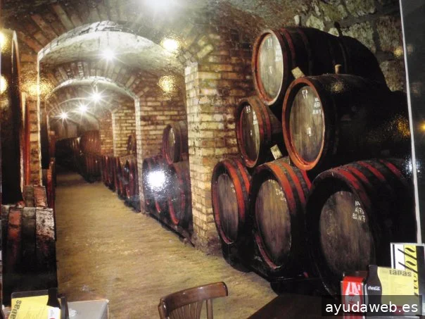 Rótulos Granada Rotulación en vinilo y Luminosos Kuyata Letras corporeas